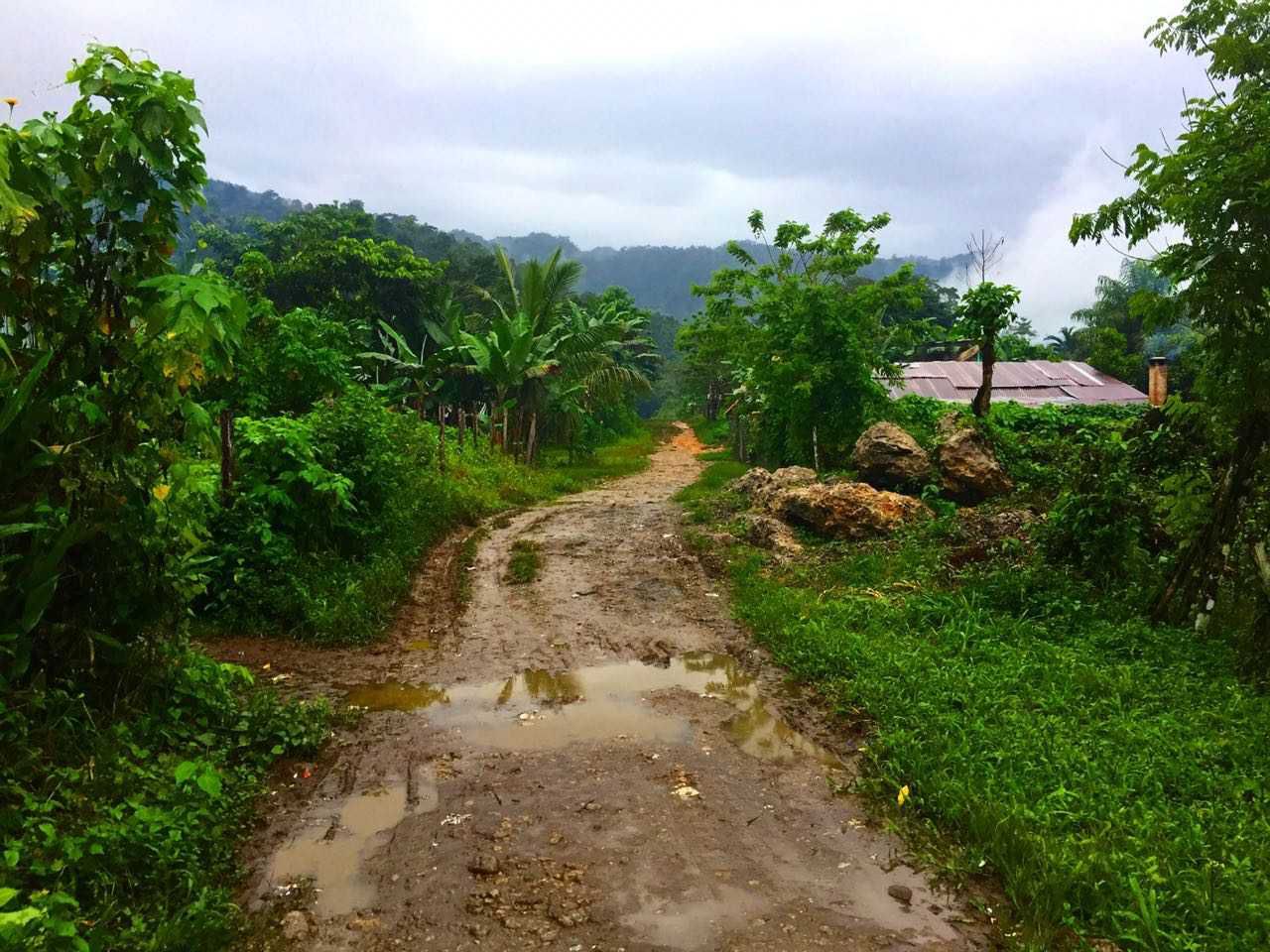 road near my house 2.jpg